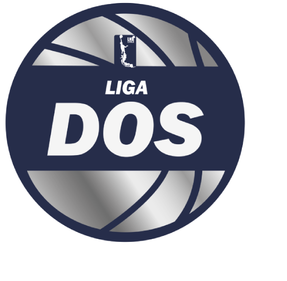 LIGA DOS